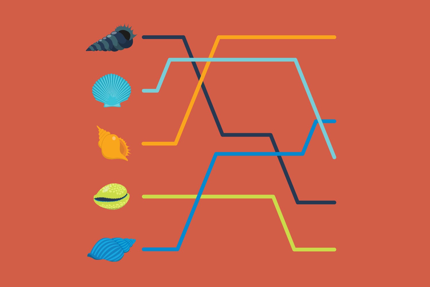 programs